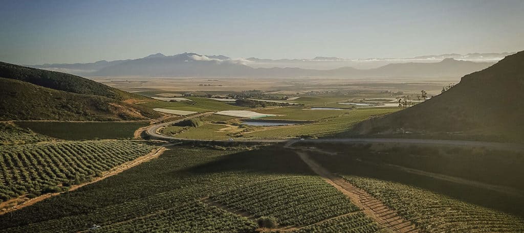 The Riebeek Valley around Kloovenburg