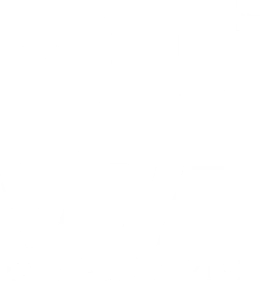 Revive